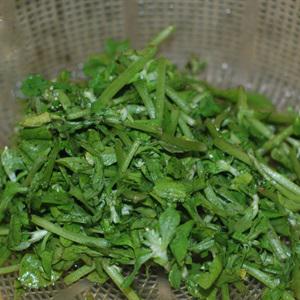 Cách làm xôi cúc