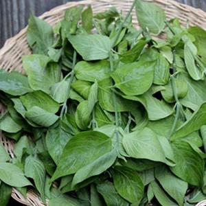 Cách làm xôi lá cẩm