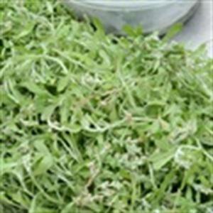 Cách làm xôi lá khúc