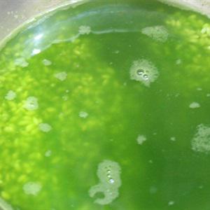 Cách làm xôi mít lá dứa