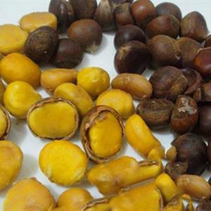 Cách làm xôi nếp hạt dẻ