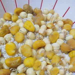 Cách làm xôi nếp hạt dẻ