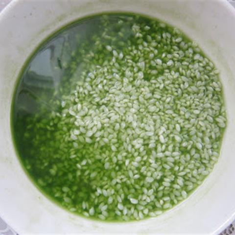 Cách làm xôi nếp lá dứa