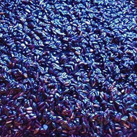 Cách làm xôi nếp than đậu xanh