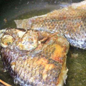 Cách làm xôi với cá rô phi