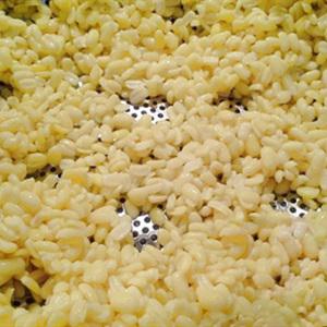 Cách làm xôi xéo miền Bắc