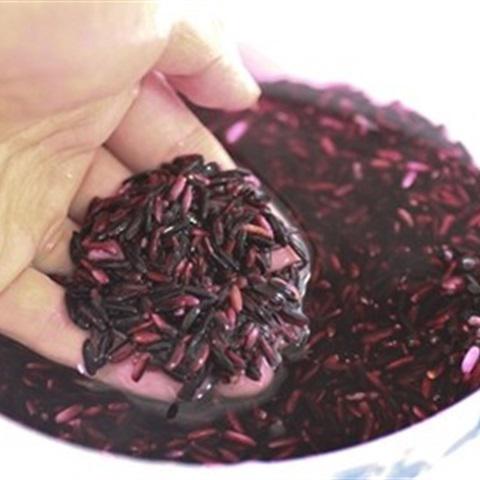 Cách làm xôi xoài nếp cẩm