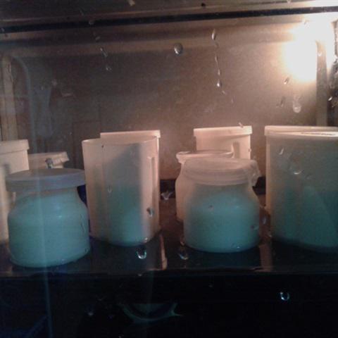 Cách làm yaourt homemade