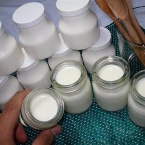 Cách làm yaourt sữa tươi