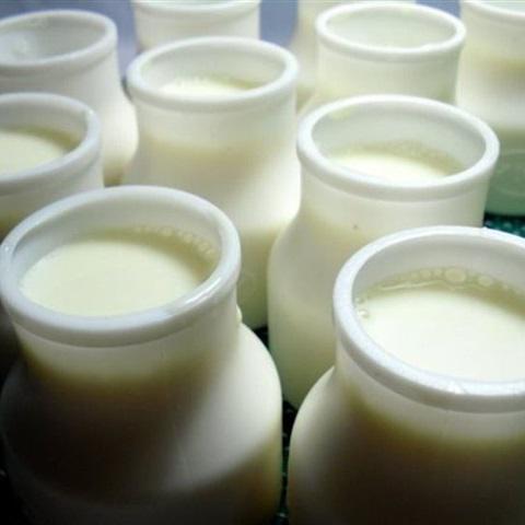Cách làm yaourt sữa tươi