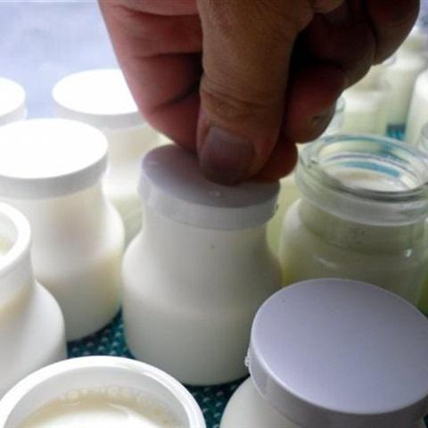 Cách làm yaourt sữa tươi