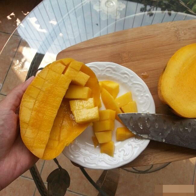 Yến mạch trái cây ăn là nghiền